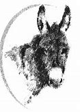 Image result for Donkey Breeds Horse