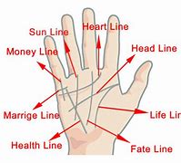 Image result for Palm Reading Demo Video