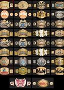 Image result for WWE Championship Belts