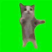 Image result for Happy Kitty Meme