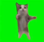Image result for Cat Hogging Bed Meme