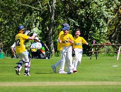 Image result for Cricket On Hot Days