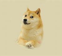 Image result for Dog Meme Desktop Wallpaper