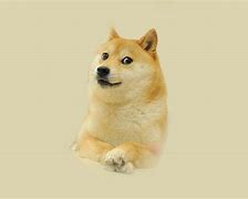 Image result for Nice Doge Meme