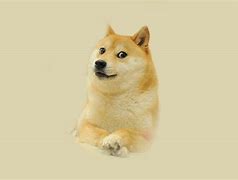 Image result for Doge Meme Wallpapers