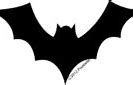 Image result for Scary Bat Graphic Pictures
