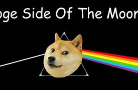 Image result for Doge Dog Meme