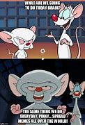 Image result for Pinky and the Brain Meme Winter