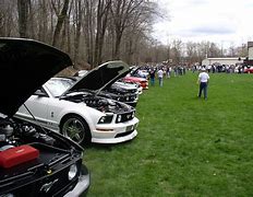 Image result for mustangs unlimited