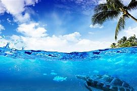 Image result for Wallpapers for Underwater