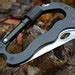 Image result for Rock Climbing Carabiner