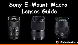 Image result for Sony E-Mount Macro Lens