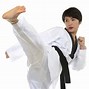 Image result for Hapkido Karate Techniques