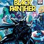 Image result for Black Panther Comic Book Character