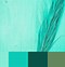 Image result for Soft Teal Color