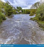 Image result for River Teifi Autumn