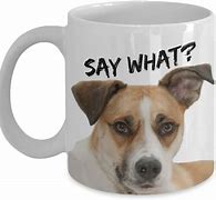 Image result for Judging Dog Meme Mug