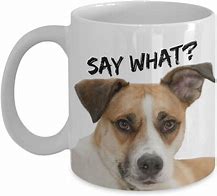 Image result for Funny Dog Meme Mug