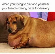 Image result for Appropriate Puppy Memes