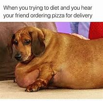 Image result for Silly Dog Memes