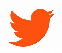 Image result for Twitter's New Logo