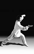 Image result for Chinese Martial Artist