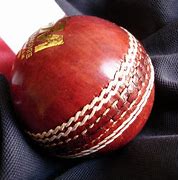 Image result for Cricket Bag On Turf