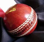 Image result for Cricket Wheelie Bag