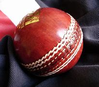 Image result for Cricket Playing Surface