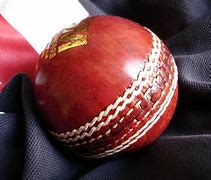 Image result for Cricket Sporting Equipment