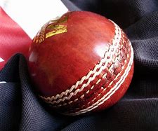 Image result for Cricket Presents
