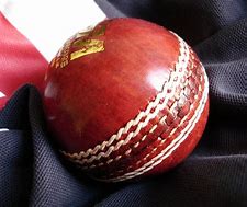 Image result for Cricket Gloves Batting