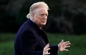 Image result for Trump's Hair