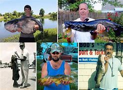 Image result for Largest Catfish in North America