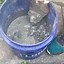 Image result for Poured Concrete Stepping Stones