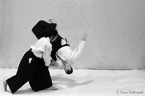 Image result for Aikido Martial Arts