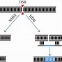 Image result for Retina Layers Diagram