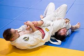 Image result for Brazilian Jiu-Jitsu