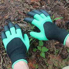 Image result for Gardening Gloves Tools