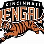 Image result for Bengals Memes