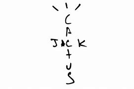 Image result for Cactus Jack Logo