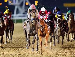 Image result for Celebrities Dubai Horse Race