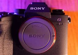 Image result for Sony Alpha 1 5.0MP Mirrorelss
