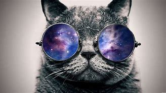 Image result for Space Cat with Glasses