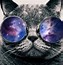 Image result for Kawaii Galaxy Cat Unicorn