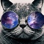 Image result for Galaxy Ccat Pics