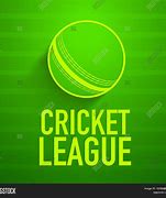 Image result for Cricket Theme Banner