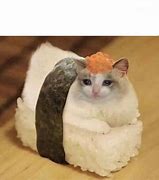 Image result for Sad Cat Bird Meme