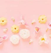 Image result for Soft Pink Computer Backgrounds