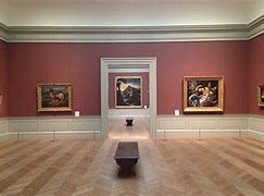 Image result for museo
